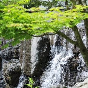 04
